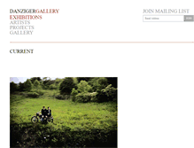 Tablet Screenshot of danzigergallery.com